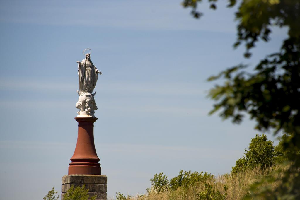 Vacanceole - Domaine Du Green Rivieres  Экстерьер фото